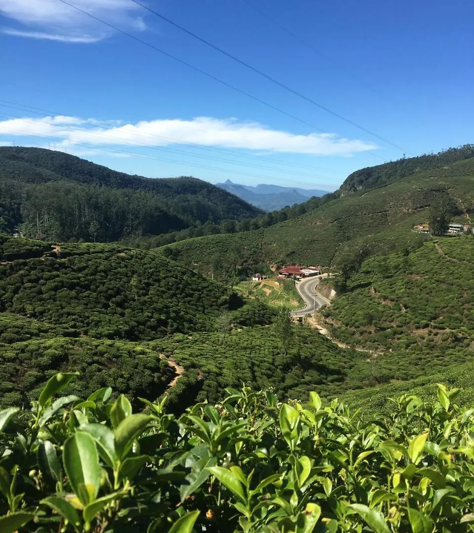 Gæstehus Methmi Rest Hotel Nuwara Eliya Sri Lanka